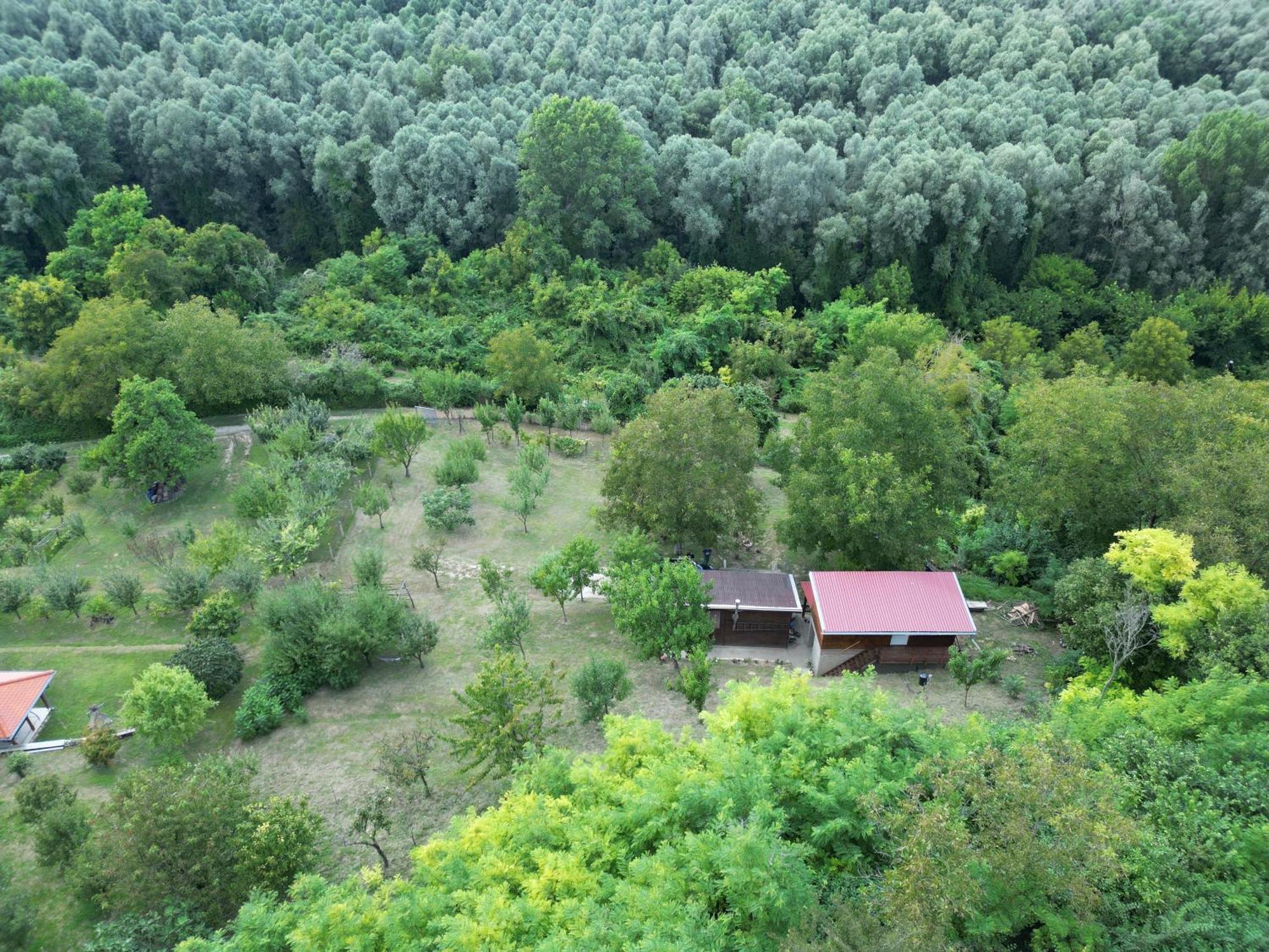 Odmor Za Dusu I Tijelo U Srcu Prirode Villa Aljmaš Eksteriør billede