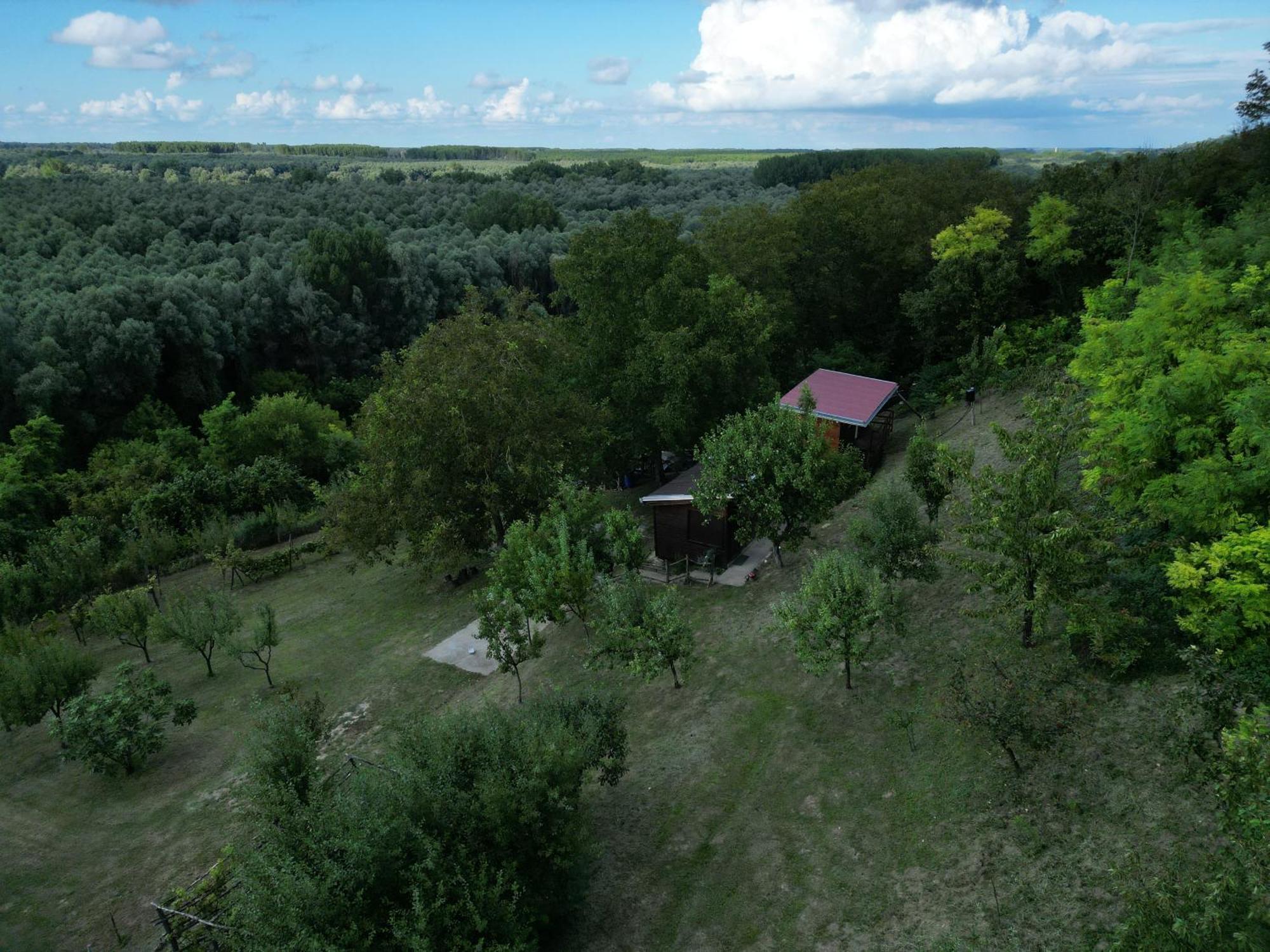 Odmor Za Dusu I Tijelo U Srcu Prirode Villa Aljmaš Eksteriør billede